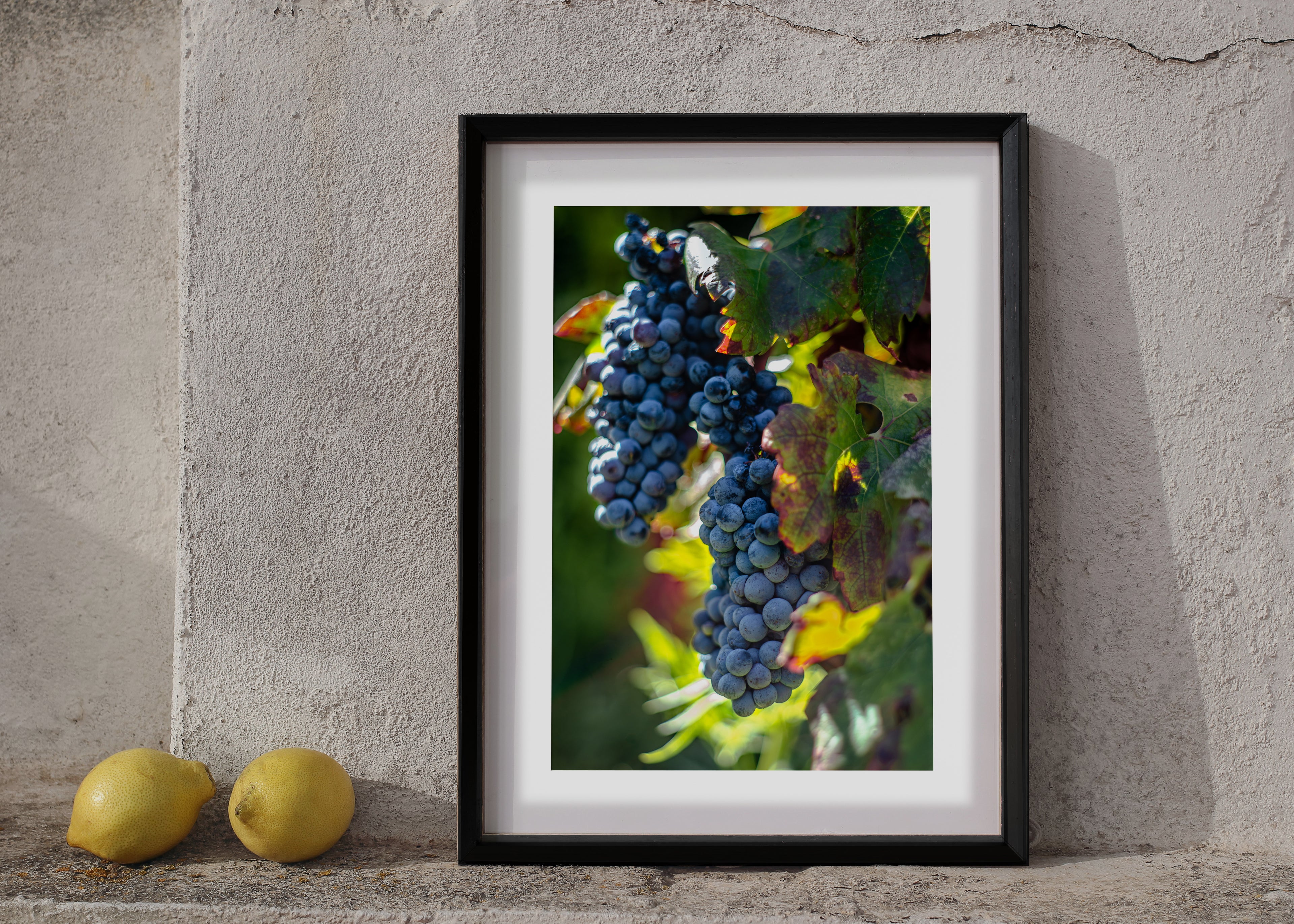 Fruit Of The Vine